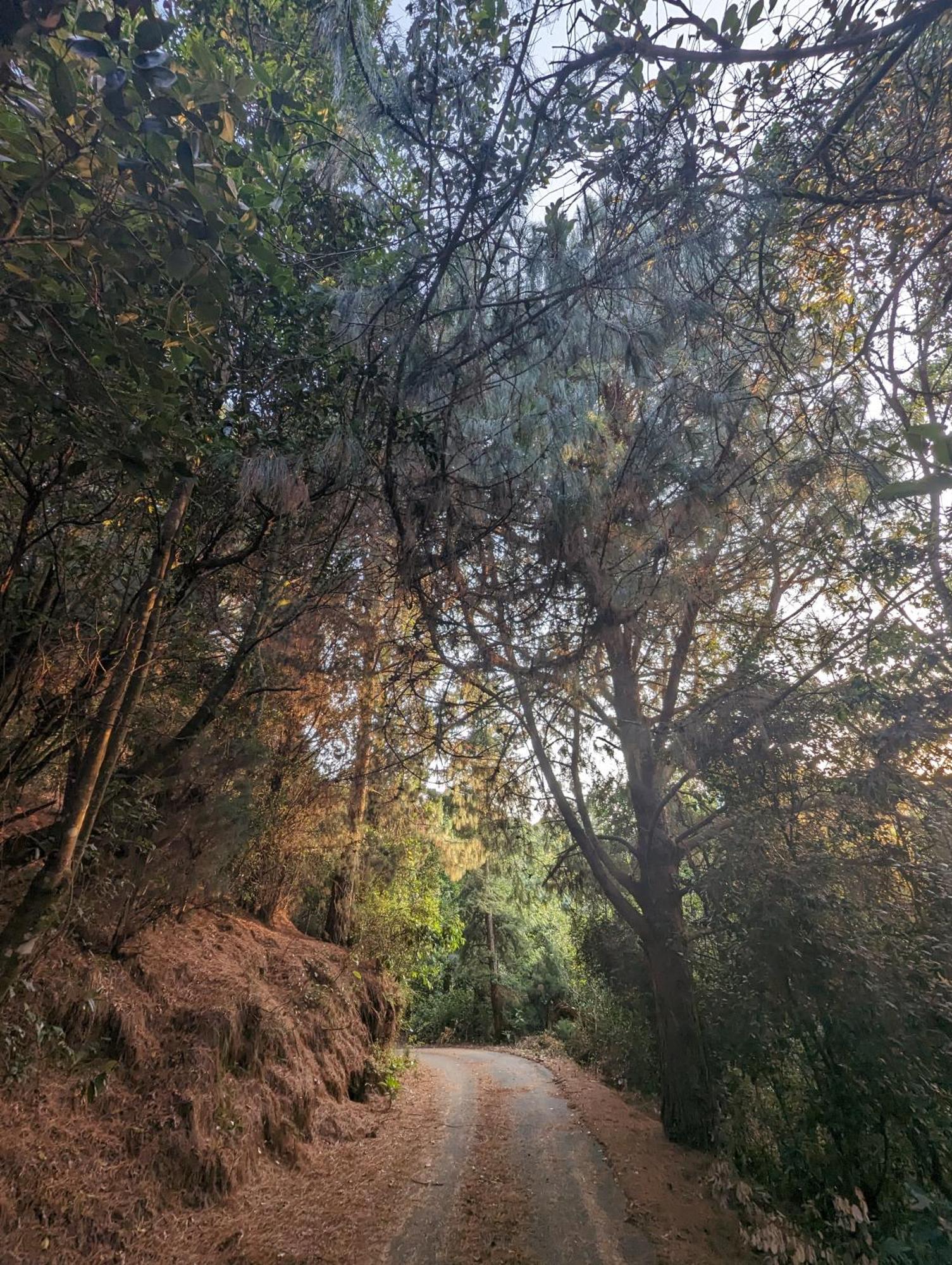 Ghar Homestay, Kotagiri Exterior photo