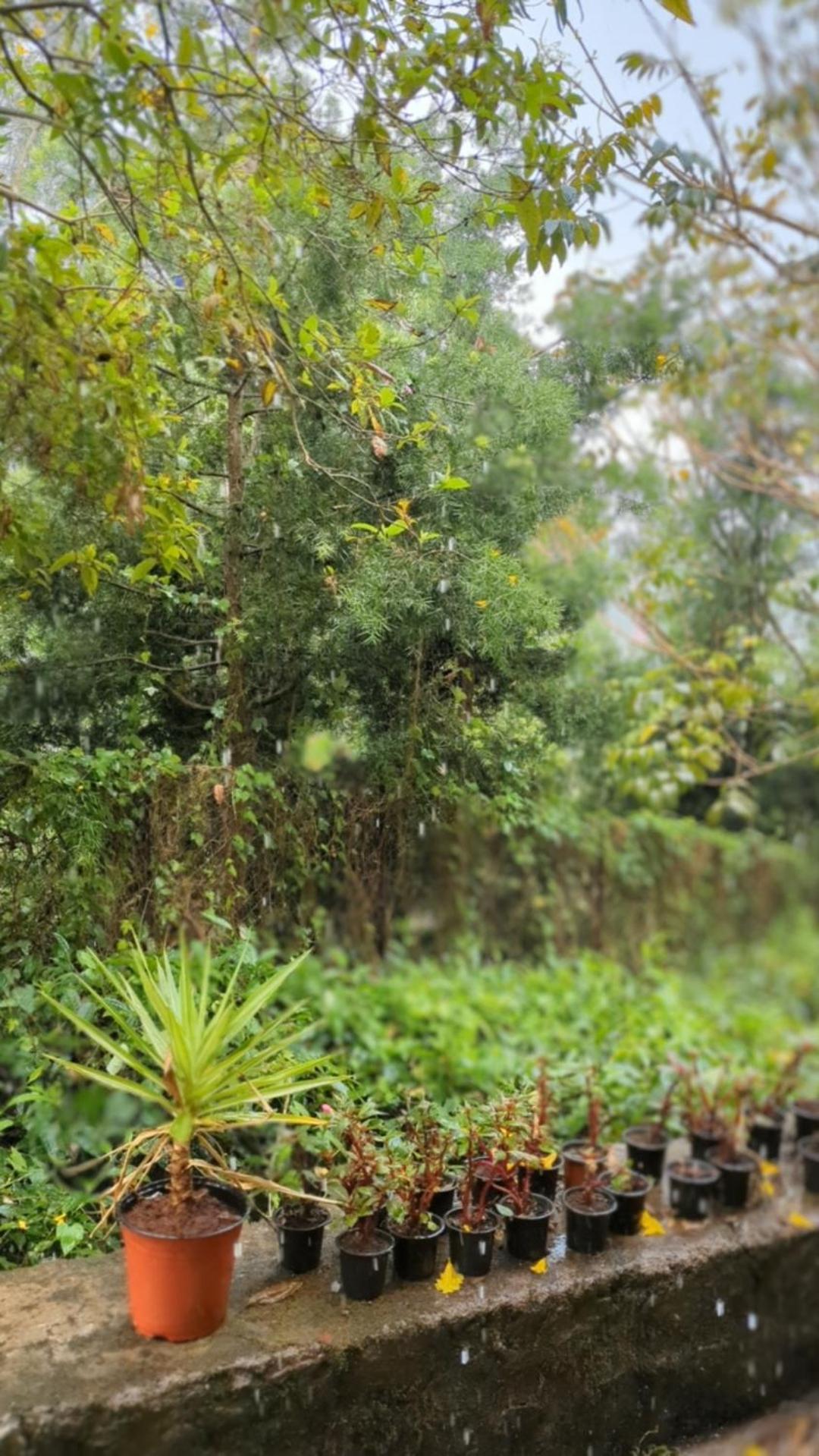Ghar Homestay, Kotagiri Exterior photo